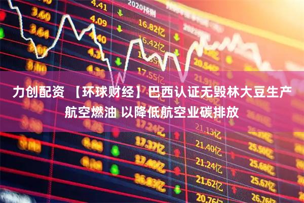 力创配资 【环球财经】巴西认证无毁林大豆生产航空燃油 以降低航空业碳排放